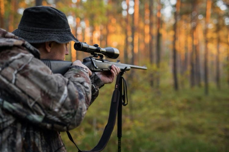 The Beginner’s Guide to Hunting Guns: Everything You Need to Know